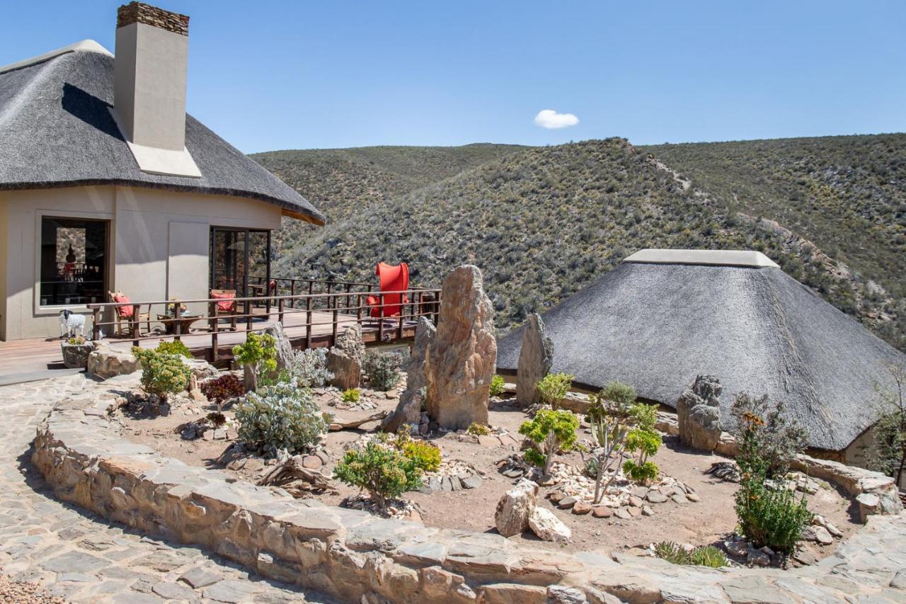 White Lion Lodge On Sanbona 蒙塔古 外观 照片